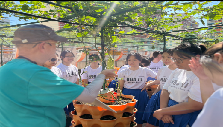Learning Festival Picture